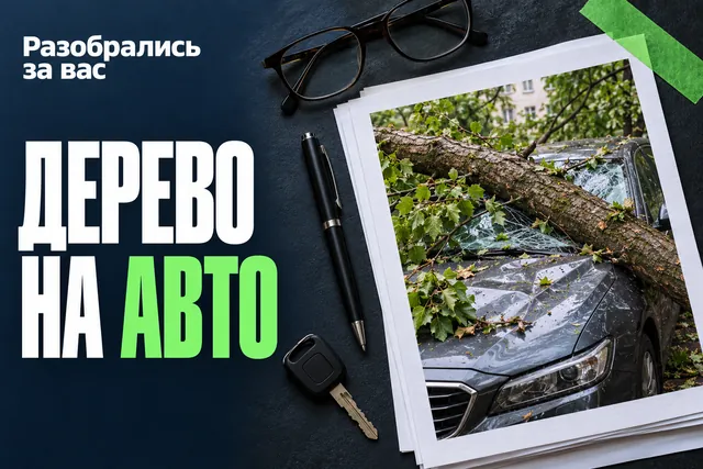 Место падения — не единственный ответ: кто возмещает ущерб от дерева во дворе